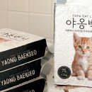 주식회사도레미파라솔 네이버블로그