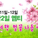 ◑ [ 남이섬 벚꽃나들이 + 와인파티 엠티 ] ◑ 4월11일~12일 - 1박2일~ 4륜바이크, 번지점프까지 ◑ (부제 : 이성과함께 짜릿하고 즐거운 봄소풍여행 ) 이미지