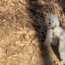 샵 세린파크 이미지