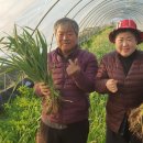 순호농장 이미지