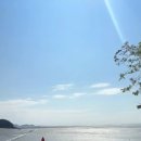 대하다방 이미지