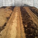 계월농장 이미지