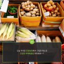 진양상회 이미지