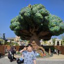 해동월드타워 이미지