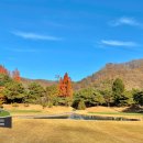 세종CC골프용품 - 9193 | 세종CC골프용품