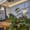 다옴헤어살롱 이미지