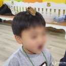 옥천초등학교병설유치원 이미지