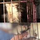 남종우농장 이미지