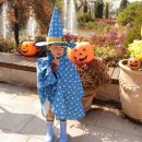 나비유치원 이미지