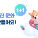 더케어벳 이미지