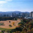 에스아이공인중개사사무소 이미지