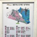 왕십리역 미용실 추천: 코브 라온 디자이너 트러스 클리닉 후기