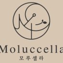 모루셀라