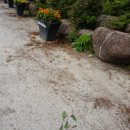 외서면 주민자치위원회 이미지