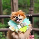 청계 맑은숲공원 이미지