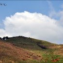 동화목장 이미지