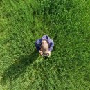 라바플라이 이미지