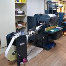 일심상사 이미지