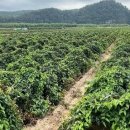 우리땅농수산