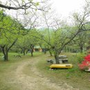 산내들 펜션 이미지