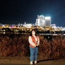 2021 태화강 빛 축제 이미지