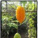 너랑나랑 펜션 민박 이미지