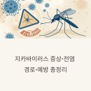 남성보건진료소 | 지카바이러스 증상·전염 경로·예방 총정리 (2025년 최신)