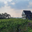 원항농장 이미지