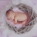 ANIDAR 산후조리원 이미지