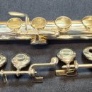 플루트(Ⅱ) 이미지