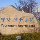 영강체육공원 이미지