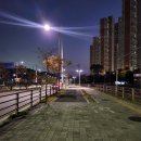 습관도 습관이다 | 퇴근 후 초보 러너 &#39;캐롯 좋은 습관 더하기 챌린지&#39; 완주 후기