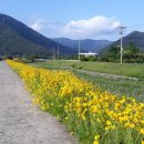 용두공원#1 이미지