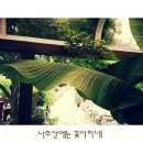도래도래민박 이미지