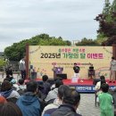 보문 경북매일