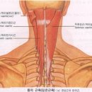 슈브 케어