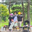 소수서원 관련 고문서 | [영주 여행] 아이들이랑 다녀온 영주 소수서원과 소수박물관 관람후기