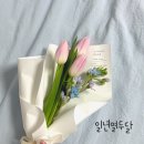 일년열두달 | [수원] 내돈내산 인계동 꽃집 가성비 색감 조합 다 맞춰주는 ‘일년열두달’ 미니 꽃다발 후기