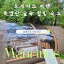 숲속버블 | 모리셔스 신혼여행 숙소 추천 버블로지 부아셰리 1박 후기와 예약팁