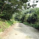 달빛숲속마을 이미지