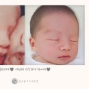 꿈트리 이미지