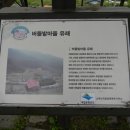 죽령 목장 이미지