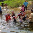 에코힐링 이미지