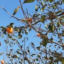 생목주유소 이미지