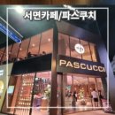 파스쿠찌 - 71182 | 파스쿠찌