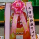 24시 포항 이음동물의료센터 이미지