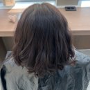 예은헤어 | [검단미용실] ‘모어무드헤어’ 톤다운 염색 솔직후기 예은 디자이너 | 원당동 미용실 검단신도시 미용실