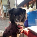 양평순대국 이미지