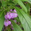 허문공원 이미지