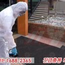 버그119